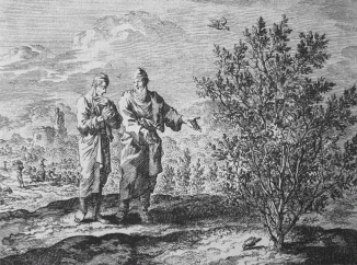 Parable of the Mustard Seed, Jan Luyken